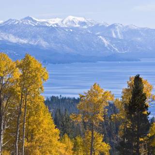 California autumn wallpaper