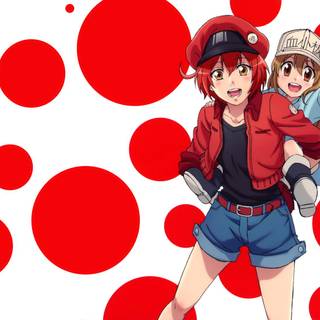 Red Blood Cell anime wallpaper