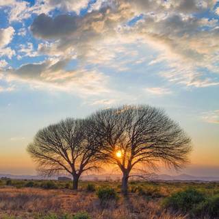 Karoo wallpaper