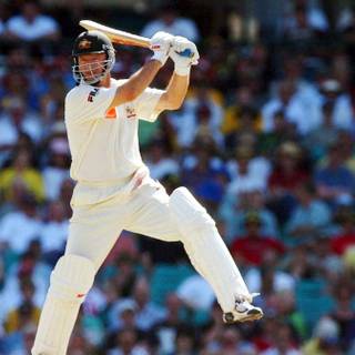 Steve Waugh wallpaper