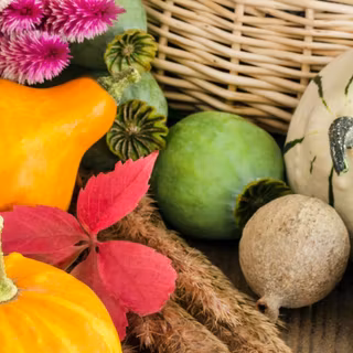 Thanksgiving vertical wallpaper