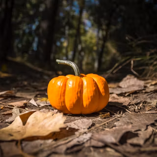 Thanksgiving vertical wallpaper