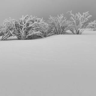 Winter desktop aesthetic wallpaper