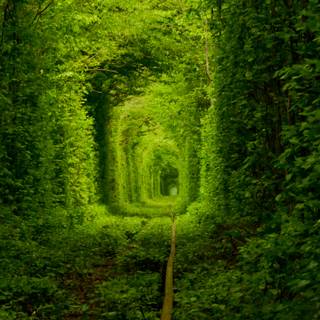 Ukraine cool wallpaper