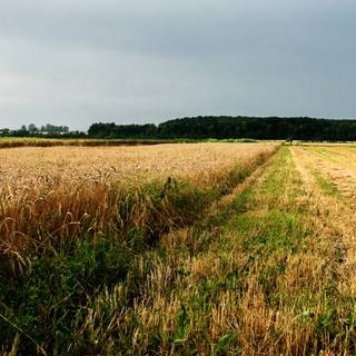 Ukraine cool wallpaper