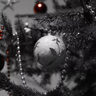 Dark Christmas forest wallpaper