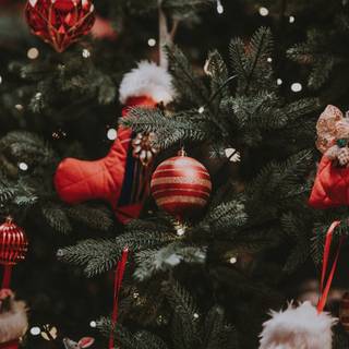 Dark Christmas forest wallpaper