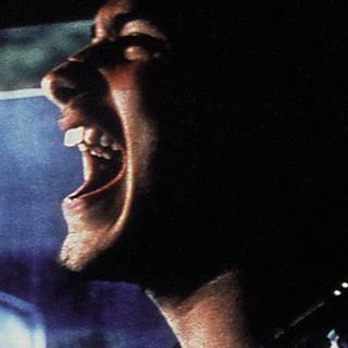 Amores Perros wallpaper