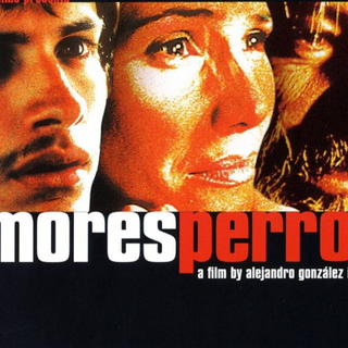 Amores Perros wallpaper