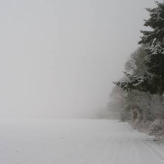 Simple winter desktop wallpaper