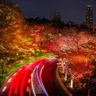 Autumn city nights wallpaper