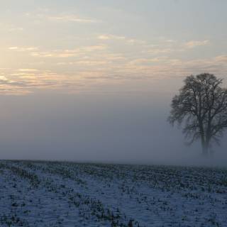 Early winter morning wallpaper