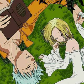 Ban x Elaine wallpaper