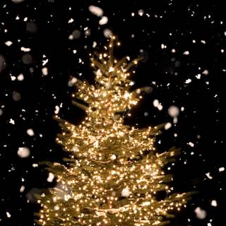 Christmas phone aesthetic wallpaper