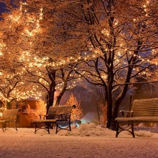 Winter nights city wallpaper