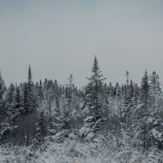 Winter aesthetic Mackbook wallpaper