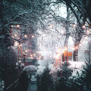 Winter aesthetic iPhone wallpaper