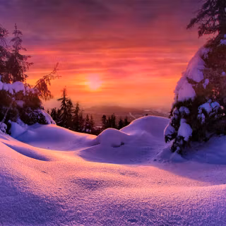 Red and purple winter wallpaper