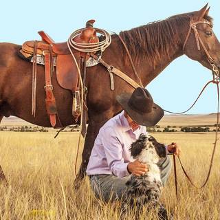 Country dogs wallpaper