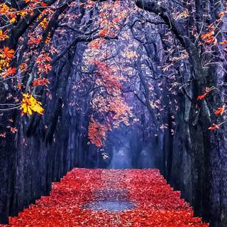 Pokémon autumn iPhone wallpaper