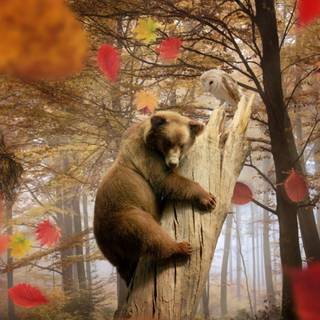 Autumn nature animals wallpaper