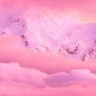 Pink winter aesthetic wallpaper