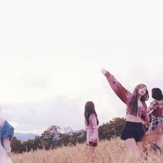 Rosé Blackpink PC wallpaper