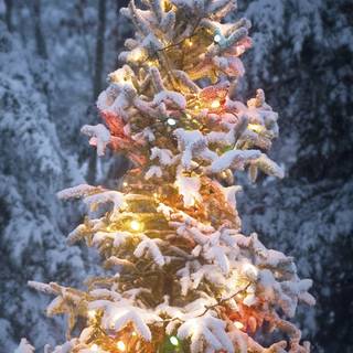 Christmas phone city wallpaper