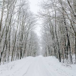 Christmas snow road wallpaper