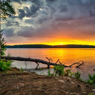 New beginning wallpaper