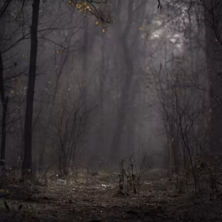 Gray autumn wallpaper