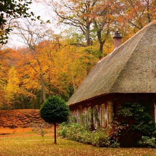 Cozy autumn cottage wallpaper