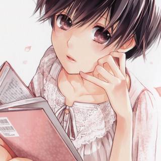 Bokura wa Minna Kawaisou wallpaper