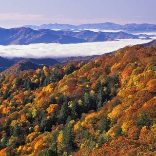 Mountain autumn PC wallpaper