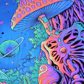 Trippy mushrooms wallpaper
