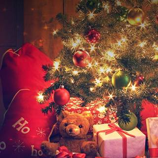 Lonely Christmas tree wallpaper