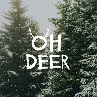 White aesthetic Christmas wallpaper