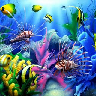 Underwater fish wallpaper