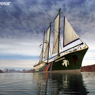 Greenpeace wallpaper