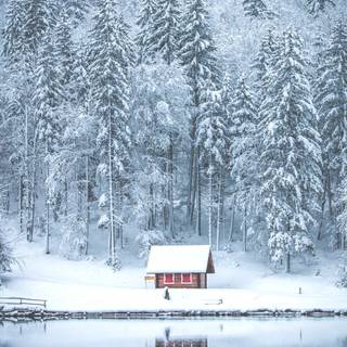 Cozy winter iPhone wallpaper