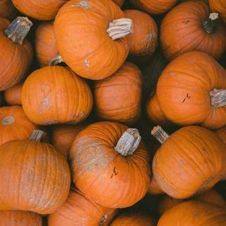 Vertical Thanksgiving wallpaper