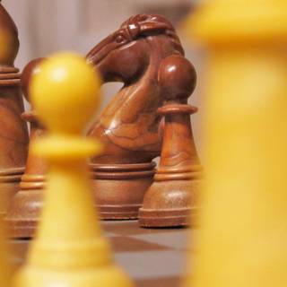 Chess knight wallpaper