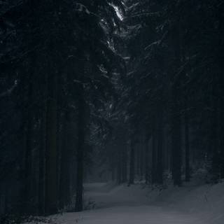 Dark winter minimal wallpaper