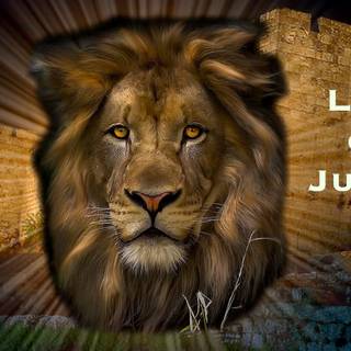 Jesus lion wallpaper