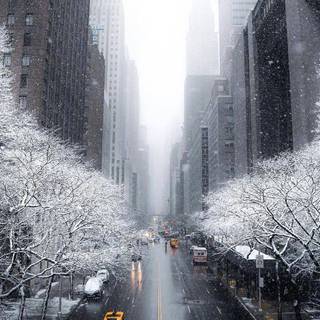 Winter snow city wallpaper