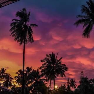 Davao City wallpaper