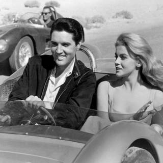 Ann-Margret wallpaper