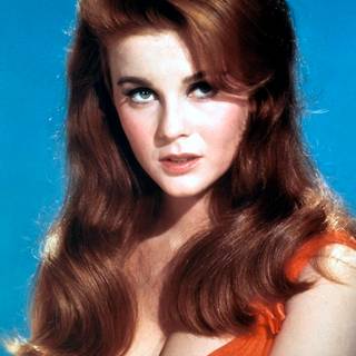 Ann-Margret wallpaper