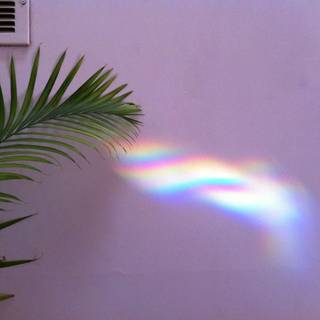 Rainbow light wallpaper