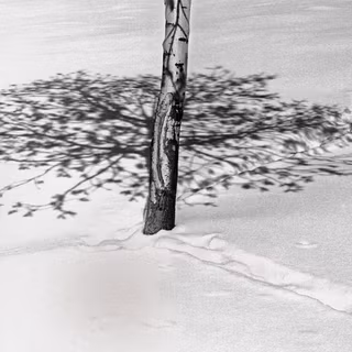 Abbas Kiarostami wallpaper